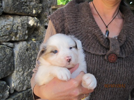 Ilanga le 2 juillet 2012